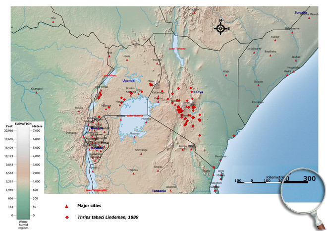 Distibution Map East Africa